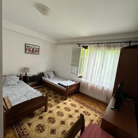 Privatni Smestaj Sobe Brankovic *