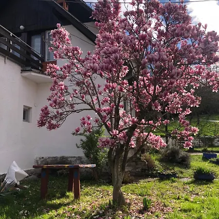Privatni Smestaj Sobe Brankovic